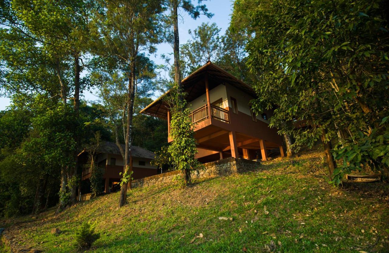 Terrace Resorts 瓦亚纳德 外观 照片