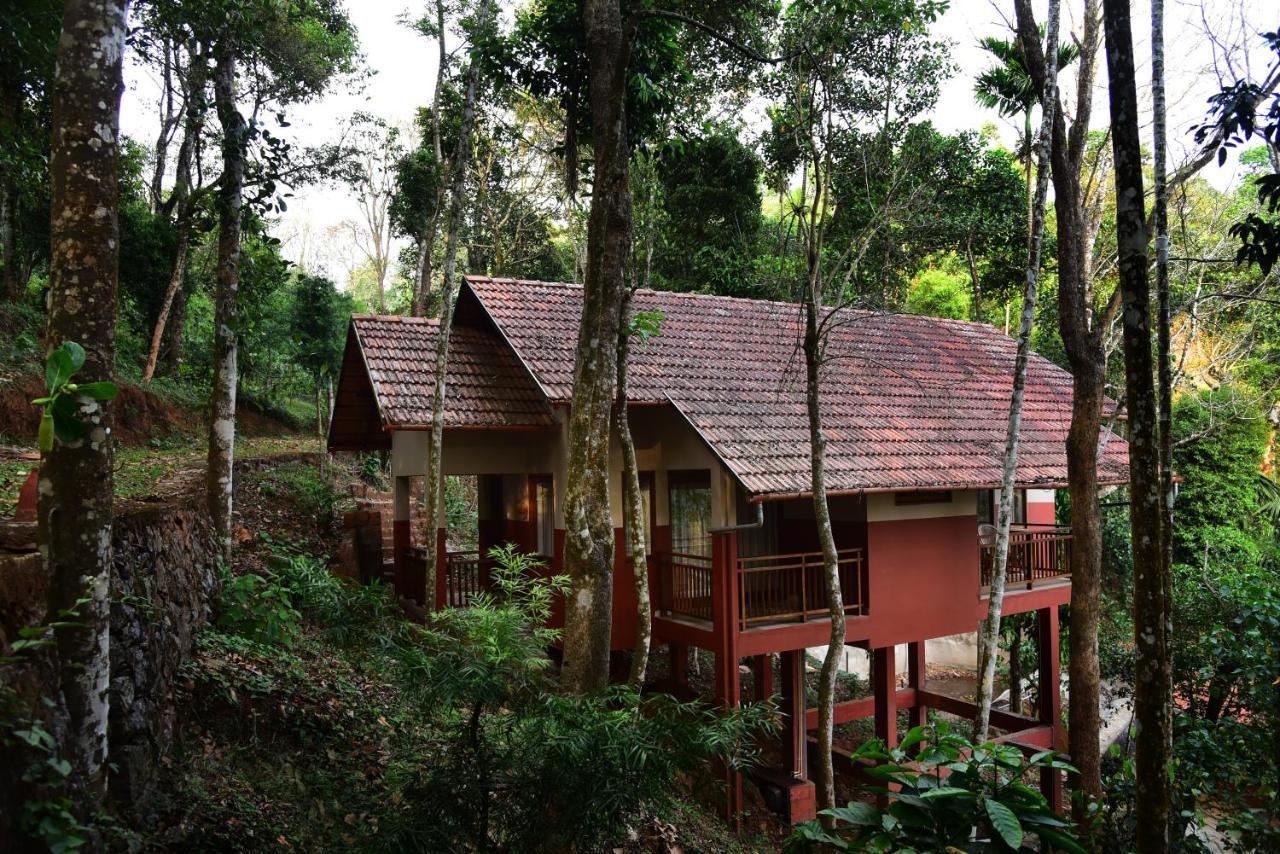 Terrace Resorts 瓦亚纳德 外观 照片