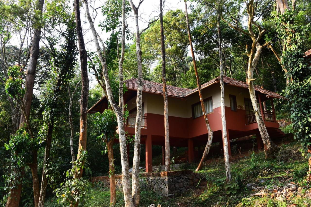 Terrace Resorts 瓦亚纳德 外观 照片