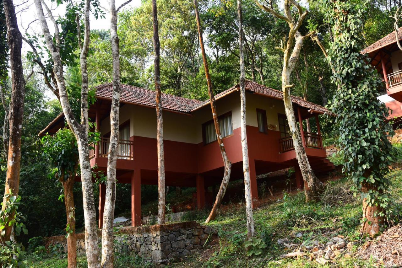 Terrace Resorts 瓦亚纳德 外观 照片