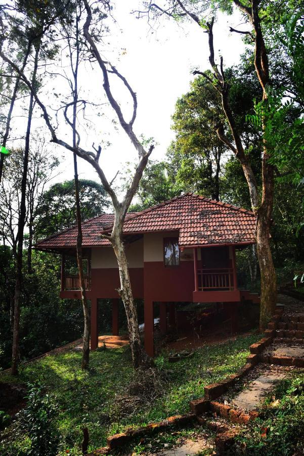 Terrace Resorts 瓦亚纳德 外观 照片