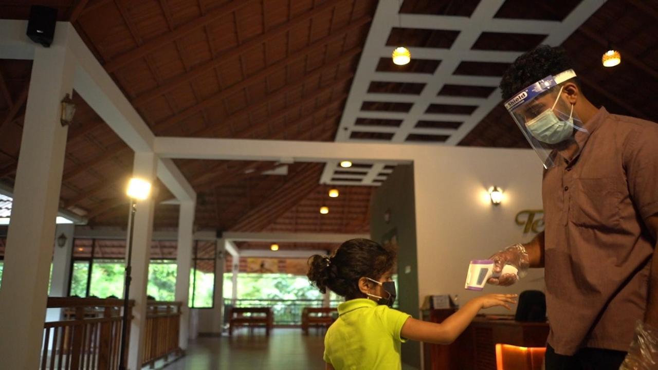 Terrace Resorts 瓦亚纳德 外观 照片